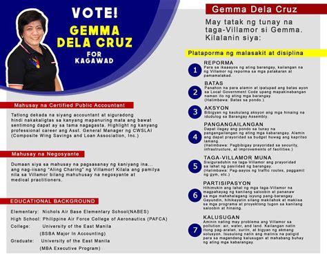 sk kagawad plataporma ideas